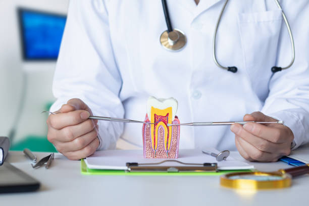 Best Emergency Wisdom Teeth Removal in Rolla, ND